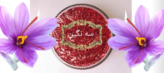 زعفران چیست؟